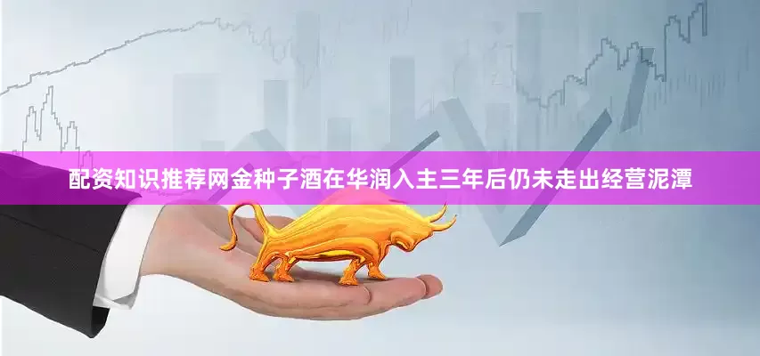 配资知识推荐网金种子酒在华润入主三年后仍未走出经营泥潭