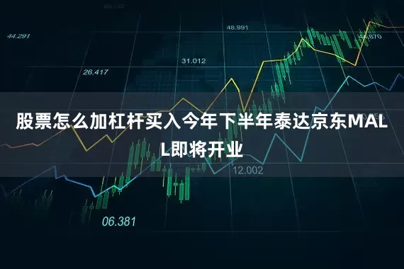 股票怎么加杠杆买入今年下半年泰达京东MALL即将开业