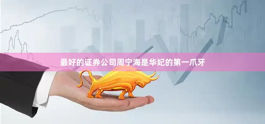 最好的证券公司周宁海是华妃的第一爪牙